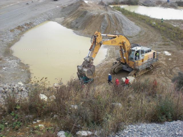 CIMG2213.JPG